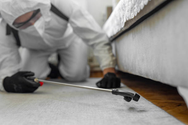 Professional Bed Bug Control technician working in Fairfield Bay, AR