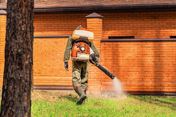 Trusted Ant Control service in Fairfield Bay, AR - Nex Pest Control